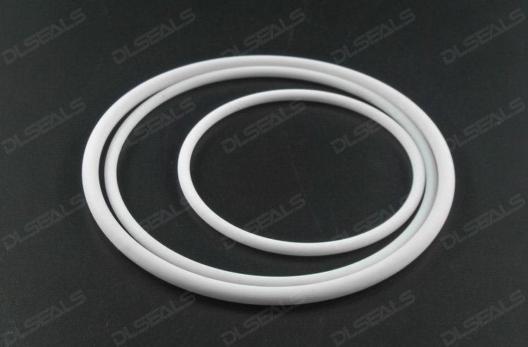 聚四氟乙烯（PTFE）密封圈