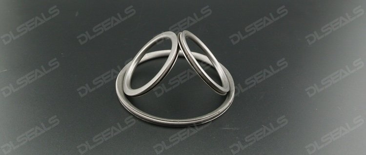 金属C型弹簧增强密封圈