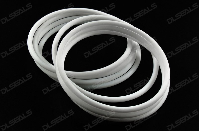 PTFE密封圈